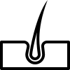 icono piel